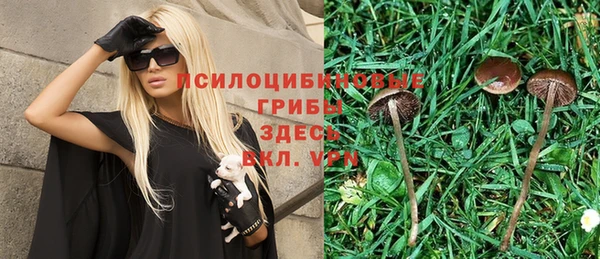 тгк Алексин