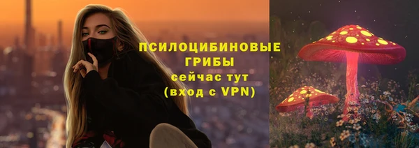тгк Алексин