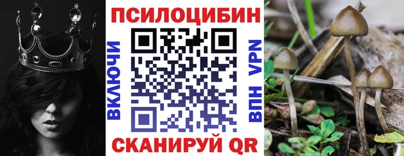 где купить наркоту  Безенчук  Псилоцибиновые грибы прущие грибы 